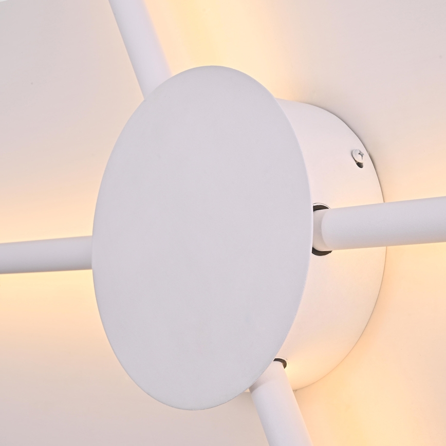 Brilagi - LED sieninis šviestuvas LUGO QUATTRO LED/16W/230V balta