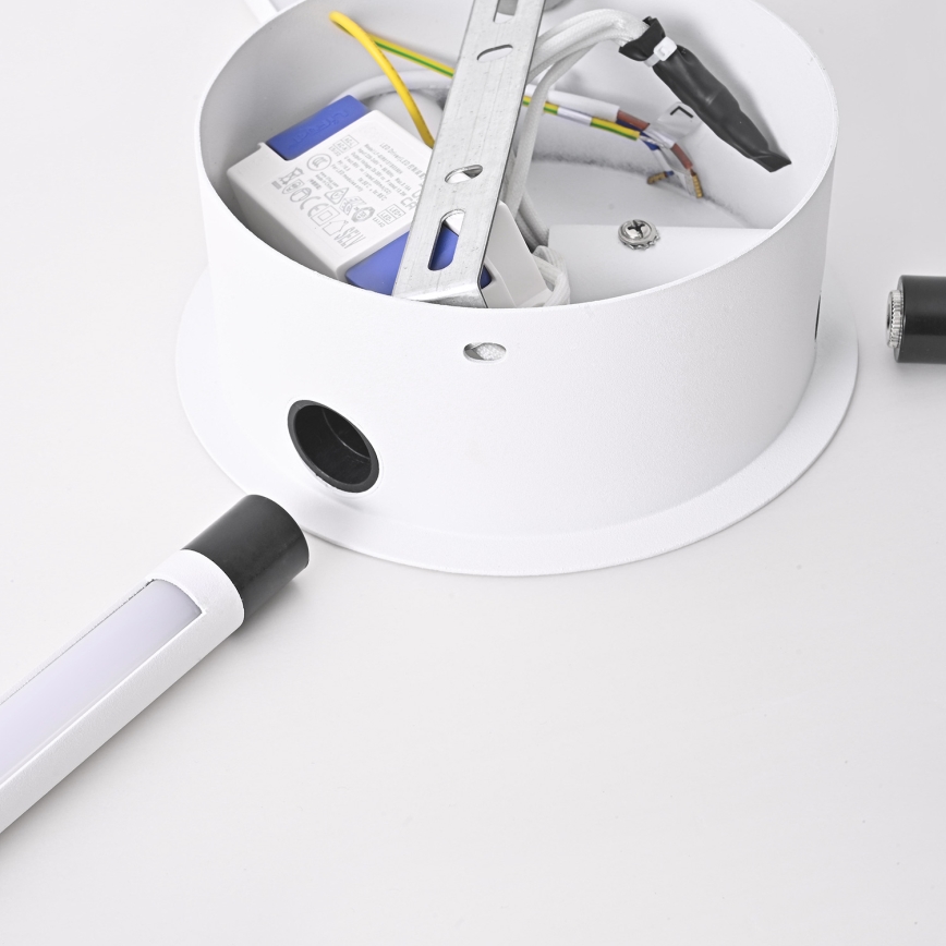 Brilagi - LED sieninis šviestuvas LUGO QUATTRO LED/16W/230V balta
