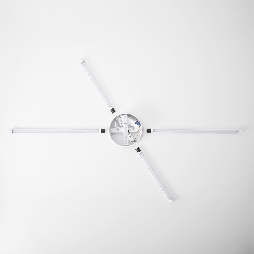 Brilagi - LED sieninis šviestuvas LUGO QUATTRO LED/16W/230V balta