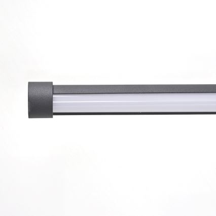 Brilagi - LED sieninis šviestuvas LUGO QUATTRO LED/16W/230V juoda