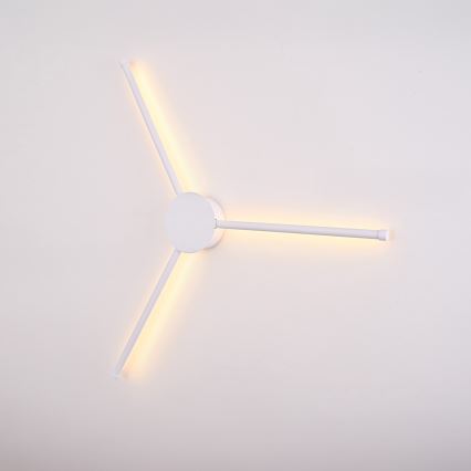 Brilagi - LED sieninis šviestuvas LUGO TRE LED/14W/230V balta