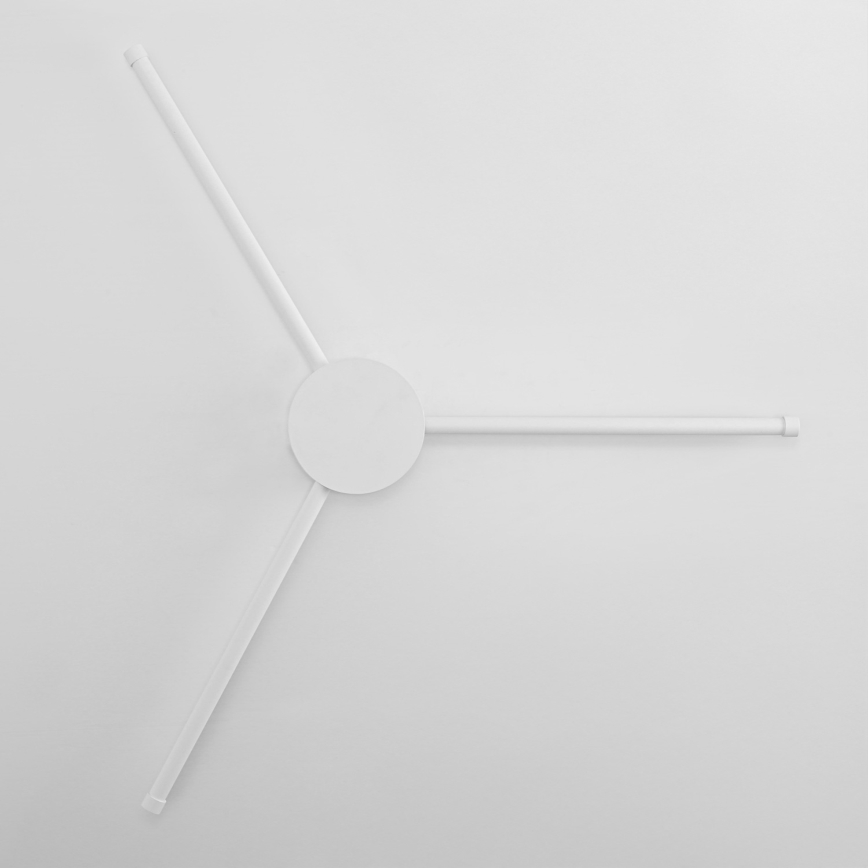 Brilagi - LED sieninis šviestuvas LUGO TRE LED/14W/230V balta