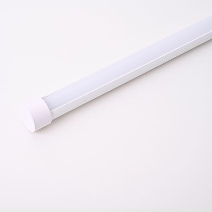 Brilagi - LED sieninis šviestuvas LUGO TRE LED/14W/230V balta