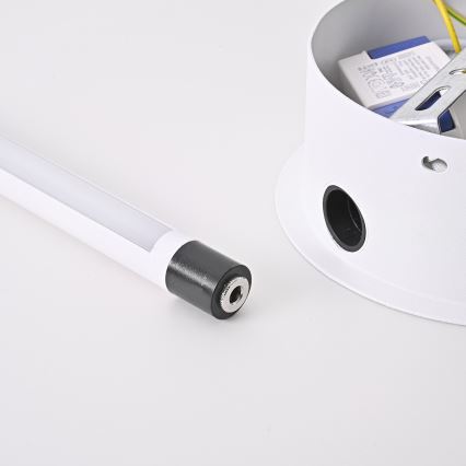 Brilagi - LED sieninis šviestuvas LUGO TRE LED/14W/230V balta