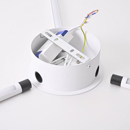 Brilagi - LED sieninis šviestuvas LUGO TRE LED/14W/230V balta