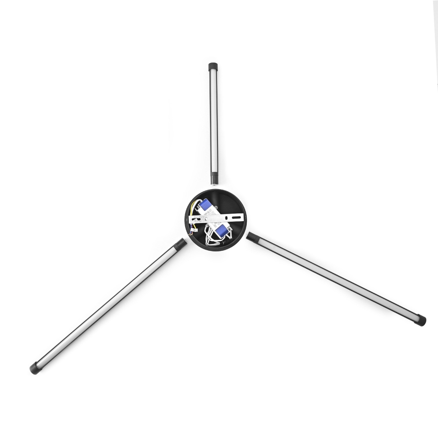Brilagi - LED sieninis šviestuvas LUGO TRE LED/14W/230V juoda