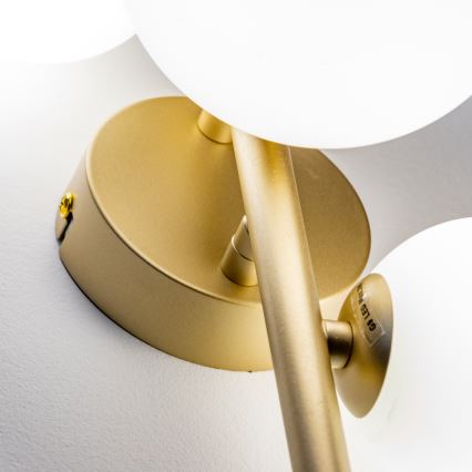 Brilagi - LED sieninis šviestuvas MILLA 3xG9/3W/230V auksas/balta