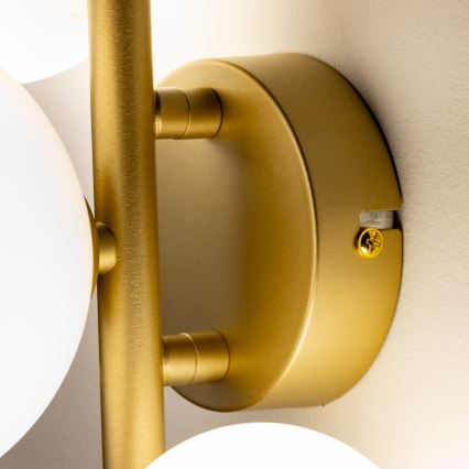 Brilagi - LED sieninis šviestuvas MILLA 3xG9/3W/230V auksas/balta