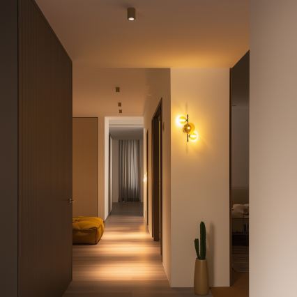 Brilagi - LED sieninis šviestuvas MILLA 3xG9/3W/230V juodas chromas/auksas