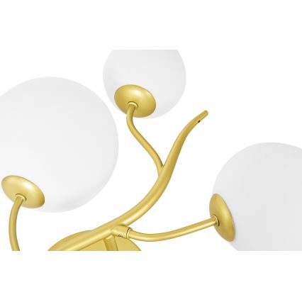 Brilagi - LED sieninis šviestuvas MISTEL 3xG9/3W/230V auksas/balta