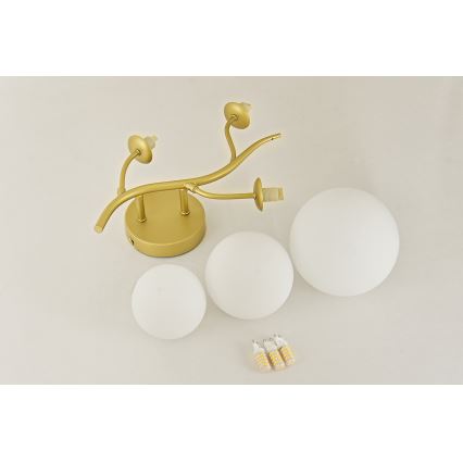 Brilagi - LED sieninis šviestuvas MISTEL 3xG9/3W/230V auksas/balta