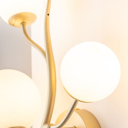 Brilagi - LED sieninis šviestuvas MISTEL 3xG9/3W/230V auksas/balta