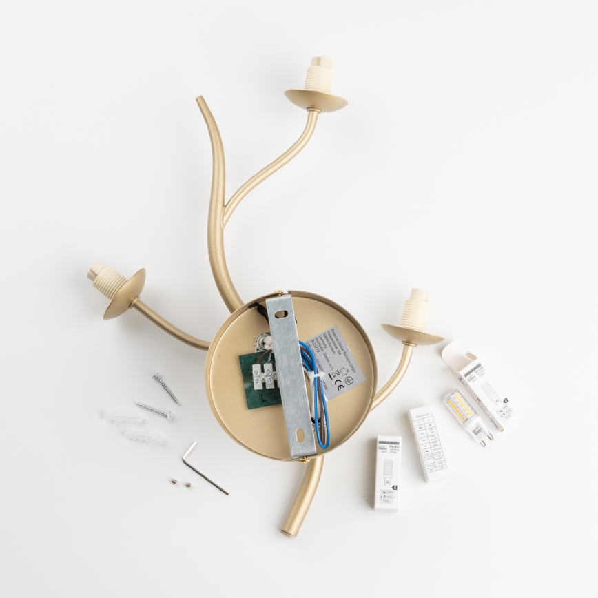 Brilagi - LED sieninis šviestuvas MISTEL 3xG9/3W/230V auksas/balta