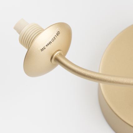 Brilagi - LED sieninis šviestuvas MISTEL 3xG9/3W/230V auksas