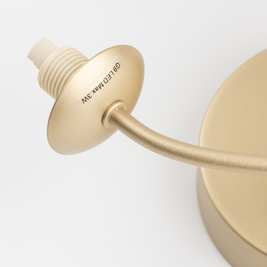 Brilagi - LED sieninis šviestuvas MISTEL 3xG9/3W/230V auksas