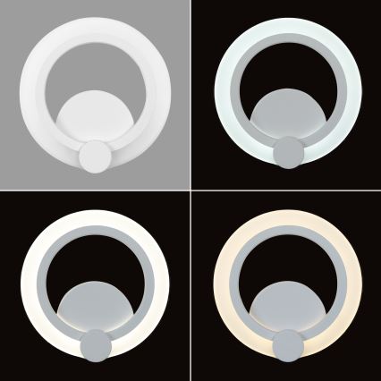 Brilagi - LED Sieninis šviestuvas MODERN MINI LED/16W/230V 3000/4000/6000K
