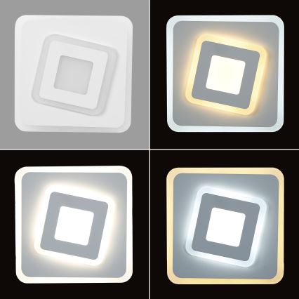 Brilagi - LED sieninis šviestuvas MODERN MINI LED/32W/230V 3000/4000/6000K