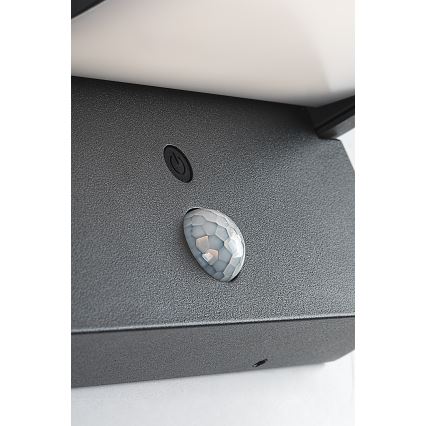 Brilagi - LED Sieninis saulės šviestuvas su judesio ir prieblandos jutikliu ANKLE LED/10W/3,7V 3000 mAh 4000K IP65 antracitas