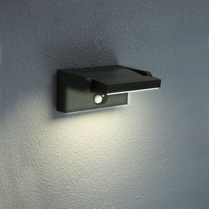 Brilagi - LED sieninis šviestuvas su jutikliu, įkraunamas saulės energija ANKLE LED/3,5W/3,7V 2200 mAh IP54