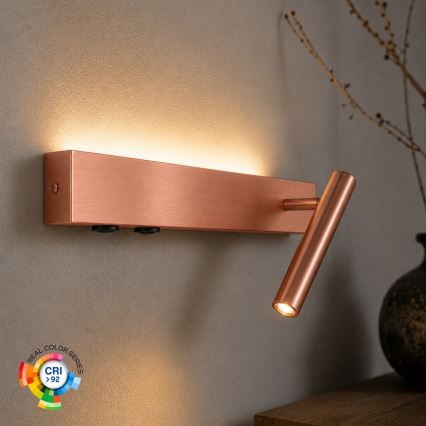 BRILAGI - LED sieninis taškinis šviestuvas ARLIX LED/3W/230V + LED/7W bronzinis CRI 90