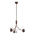 Brilagi - LED Sietynas, kabinamas ant grandinės COTTAGE 3xG9/40W/230V ąžuolas/balta