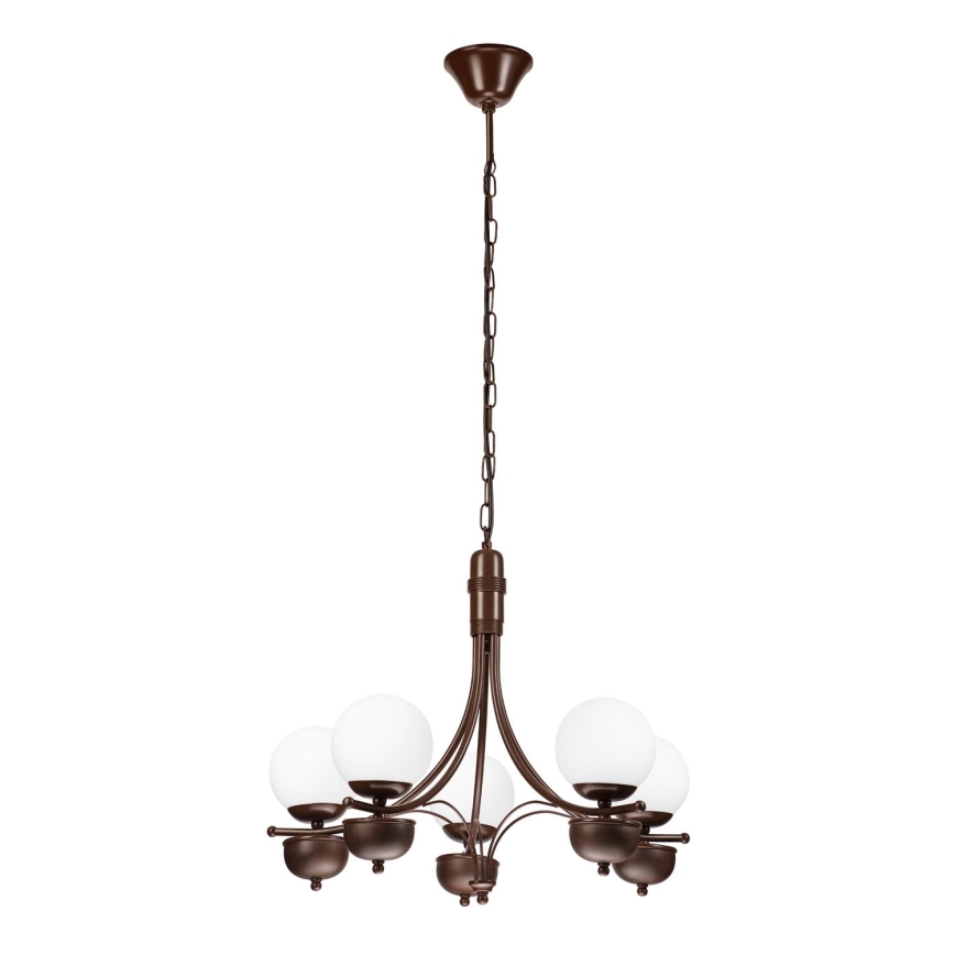Brilagi - LED Sietynas, kabinamas ant grandinės COTTAGE 5xG9/40W/230V ąžuolas/balta