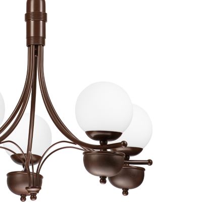 Brilagi - LED Sietynas, kabinamas ant grandinės COTTAGE 5xG9/40W/230V ąžuolas/balta