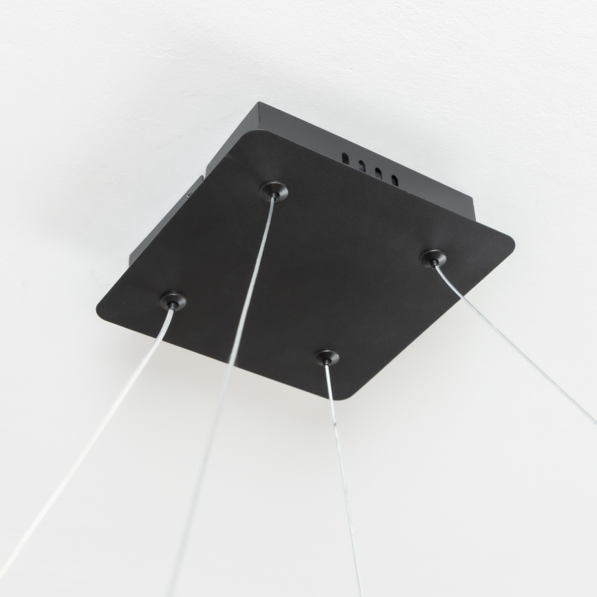 Brilagi - LED dimeriuojamas pakabinamas šviestuvas ant laido FALCON SLIM LED/50W/230V 3000-6500K 50x50 cm juodas + nuotolinis valdymas