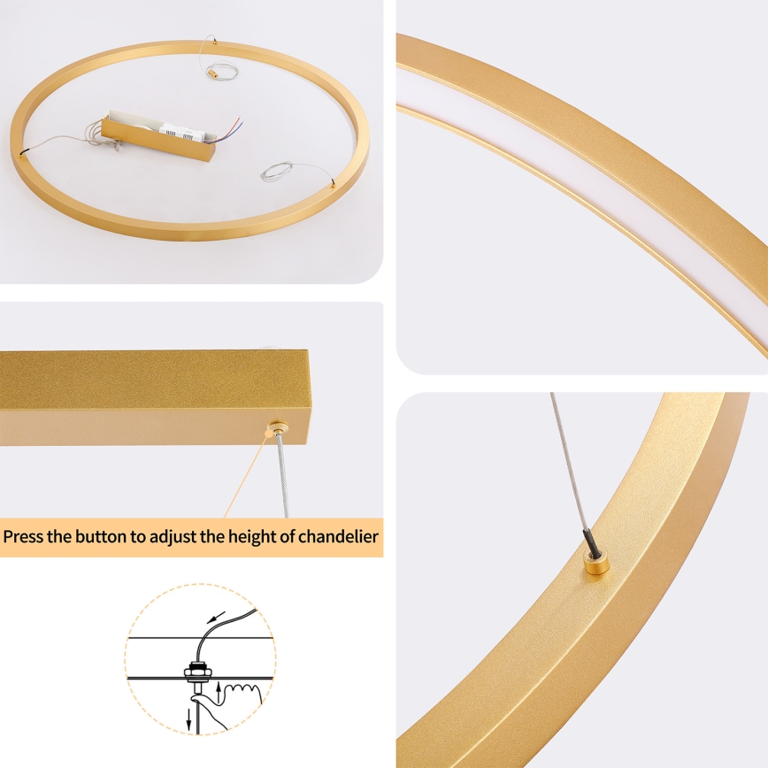 Brilagi - Dimeriuojama LED liustra ant laido PORTOFINO LED/60W/230V 3000-6000K Ø 80 cm auksinė + nuotolinis valdymas