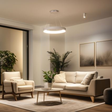 BRILAGI - LED dimeriu reguliuojama pakabinama liustra FALCON II LED/99W/230V 3000–6500K, skersmuo 60 cm, balta, su nuotoliniu pulteliu