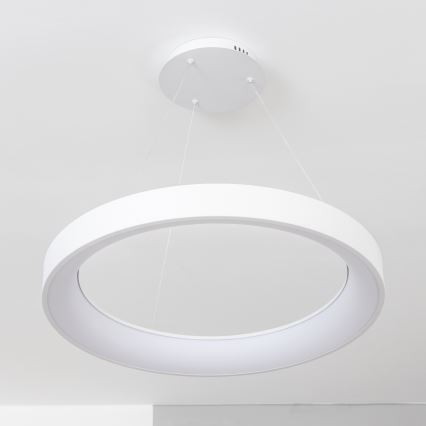 BRILAGI - LED dimeriu reguliuojama pakabinama liustra FALCON II LED/99W/230V 3000–6500K, skersmuo 60 cm, balta, su nuotoliniu pulteliu