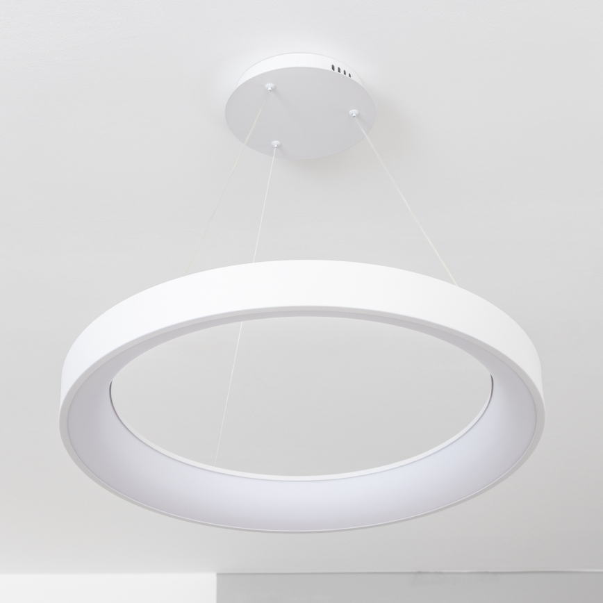 BRILAGI - LED dimeriu reguliuojama pakabinama liustra FALCON II LED/99W/230V 3000–6500K, skersmuo 60 cm, balta, su nuotoliniu pulteliu