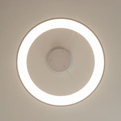 BRILAGI - LED dimeriu reguliuojama pakabinama liustra FALCON II LED/99W/230V 3000–6500K, skersmuo 60 cm, balta, su nuotoliniu pulteliu