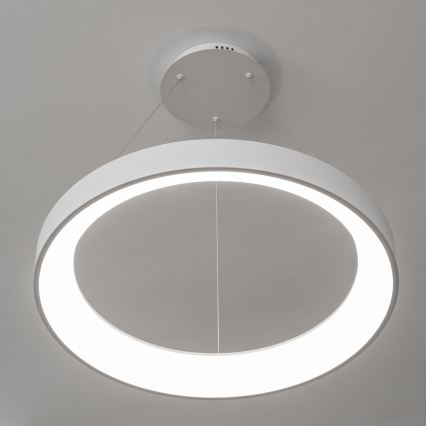 BRILAGI - LED dimeriu reguliuojama pakabinama liustra FALCON II LED/99W/230V 3000–6500K, skersmuo 60 cm, balta, su nuotoliniu pulteliu