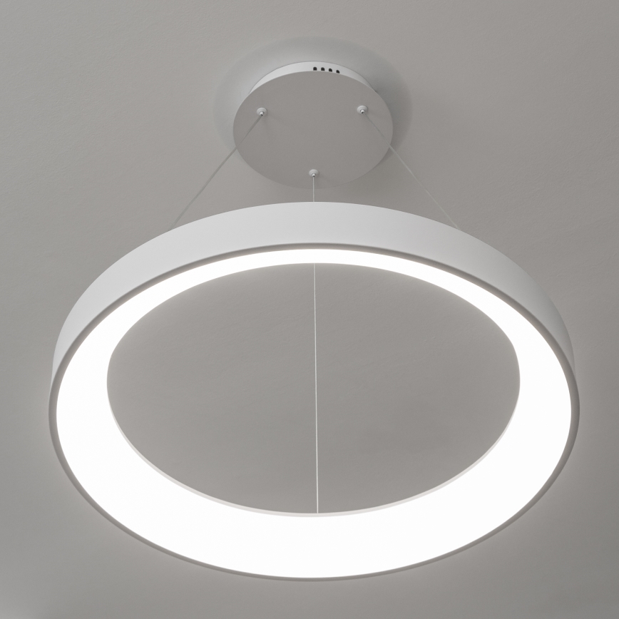 BRILAGI - LED dimeriu reguliuojama pakabinama liustra FALCON II LED/99W/230V 3000–6500K, skersmuo 60 cm, balta, su nuotoliniu pulteliu