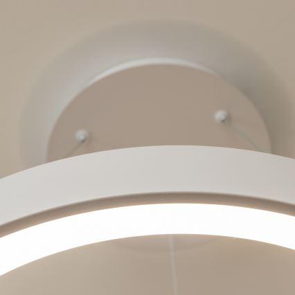 BRILAGI - LED dimeriu reguliuojama pakabinama liustra FALCON II LED/99W/230V 3000–6500K, skersmuo 60 cm, balta, su nuotoliniu pulteliu