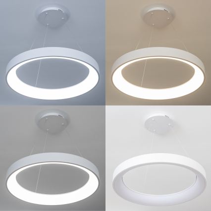 BRILAGI - LED dimeriu reguliuojama pakabinama liustra FALCON II LED/99W/230V 3000–6500K, skersmuo 60 cm, balta, su nuotoliniu pulteliu