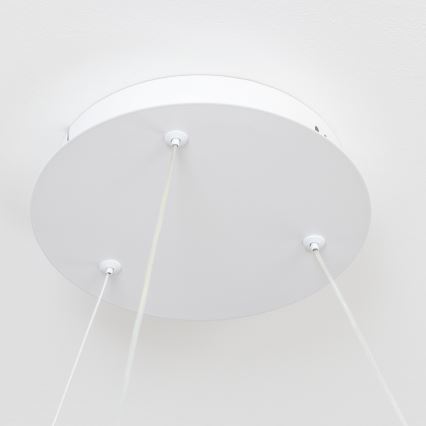 BRILAGI - LED dimeriu reguliuojama pakabinama liustra FALCON II LED/99W/230V 3000–6500K, skersmuo 60 cm, balta, su nuotoliniu pulteliu