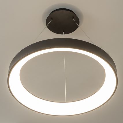 BRILAGI - reguliuojamas LED pakabinamas šviestuvas ant laido FALCON II LED/99W/230V 3000-6500K skersmuo 60 cm juodas + su nuotolinio valdymo pultu