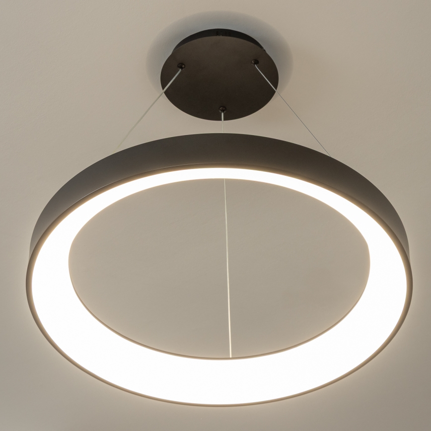 BRILAGI - reguliuojamas LED pakabinamas šviestuvas ant laido FALCON II LED/99W/230V 3000-6500K skersmuo 60 cm juodas + su nuotolinio valdymo pultu