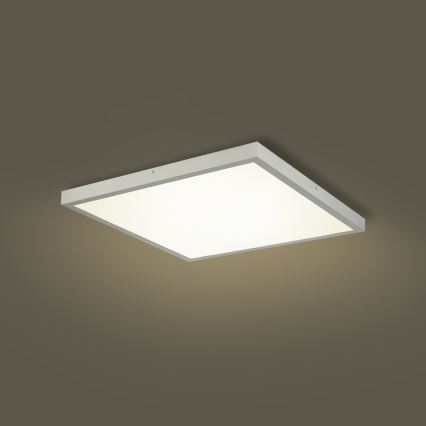 Brilagi - Dimeriuojamas vonios lubinis šviestuvas FRAME SMART LED/50W/230V 60x60 cm 3000-6000K IP44 sidabrinis + nuotolinis valdymas