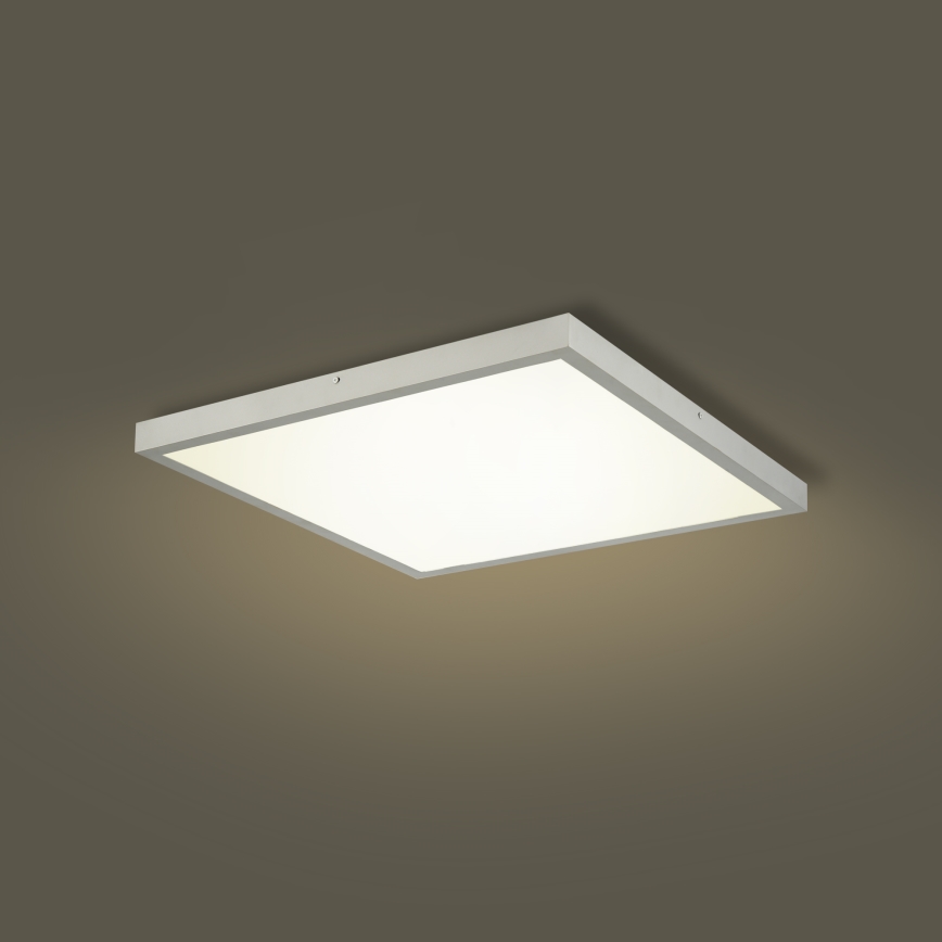Brilagi - Dimeriuojamas vonios lubinis šviestuvas FRAME SMART LED/50W/230V 60x60 cm 3000-6000K IP44 sidabrinis + nuotolinis valdymas