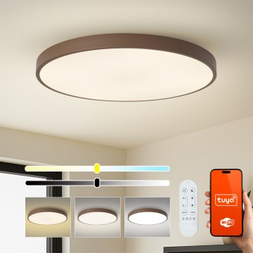 Brilagi - LED šviestuvas su reguliuojamu ryškumu POOL SMART, 128 W / 230 V, skersmuo 100 cm, Wi‑Fi (Tuya) + nuotolinis pultas, rudos spalvos