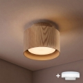BRILAGI - LED taškinis šviestuvas BACKLIT 1xGX53/15W/230V + LED/3W skersmuo 10 cm, ąžuolo dekoras
