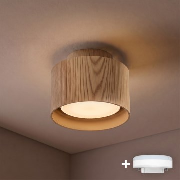 BRILAGI - LED taškinis šviestuvas BACKLIT 1xGX53/15W/230V + LED/3W skersmuo 10 cm, ąžuolo dekoras