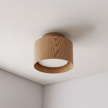 BRILAGI - LED taškinis šviestuvas BACKLIT 1xGX53/15W/230V + LED/3W skersmuo 10 cm, ąžuolo dekoras