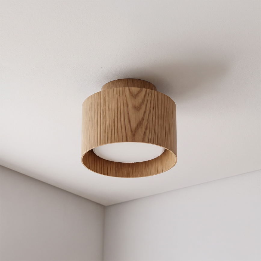 BRILAGI - LED taškinis šviestuvas BACKLIT 1xGX53/15W/230V + LED/3W skersmuo 10 cm, ąžuolo dekoras