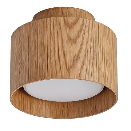 BRILAGI - LED taškinis šviestuvas BACKLIT 1xGX53/15W/230V + LED/3W skersmuo 10 cm, ąžuolo dekoras