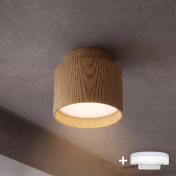 BRILAGI - LED taškinis šviestuvas BACKLIT 1xGX53/15W/230V + LED/3W skersmuo 8 cm, ąžuolo dekoras
