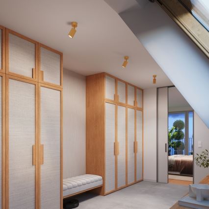 Brilagi - LED taškinis šviestuvas CRESTO 1xGU10/10W/230V auksinis